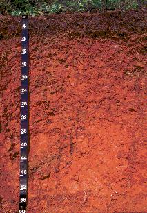 Organic matter content Soil minerals