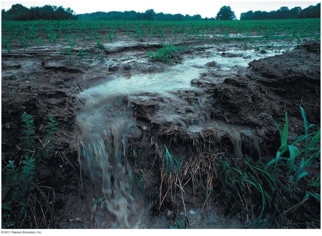 Erosion removes soil Water erosion removes soil from