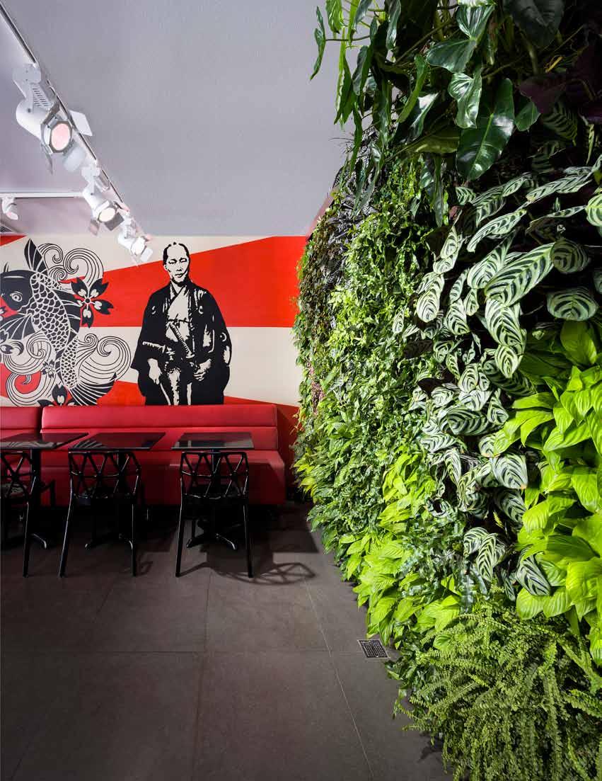 Project Mama sushi SERVICES Greenwalls specializes in designing, installing, and maintaining living walls.