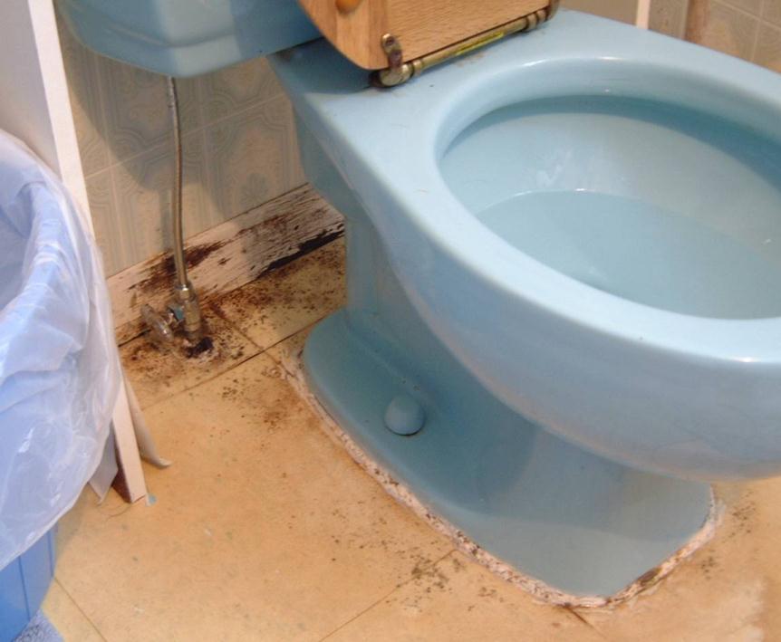 Water Leaks: Can be extremely expensive If