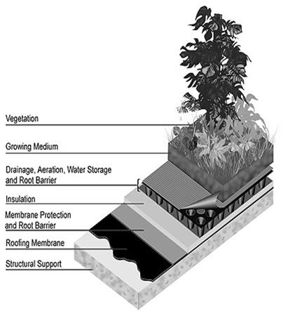 LID Method: Green Roofs Green Roofs Utilizes