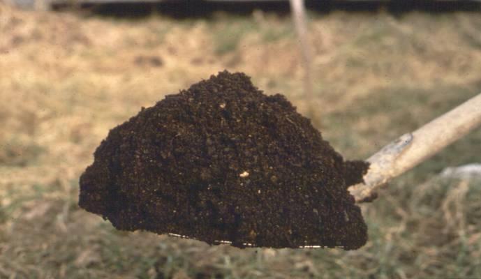 Compost is a value-added product