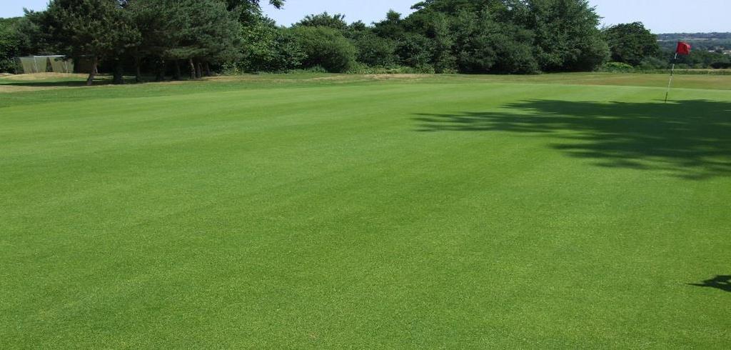 The sward health, colour and soil profile were all enhanced by the addition of. Temple Golf Club August 213.