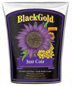 Black Gold s Indoor Set & Garden Amendments African Violet Cactus Mix Soil Builder Just Coir Picky African violets thrive in this blend of Canadian Sphagnum peat moss, compost, perlite/pumice and