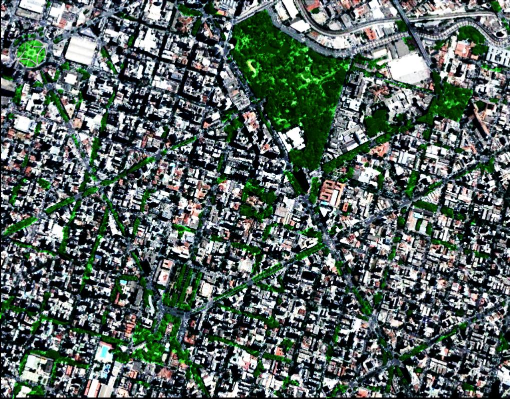 spaces for public use enlargement of green areas along centralities Parque