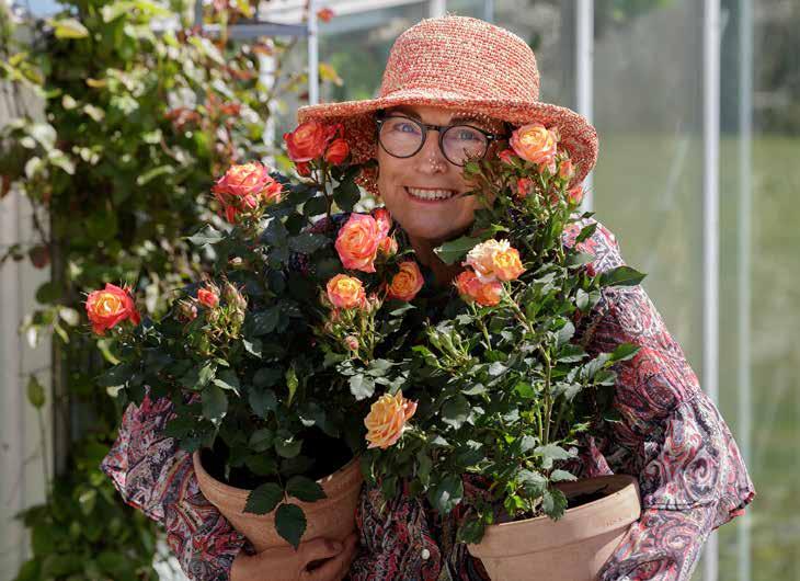 I love to be a rose breeder All the wonderful garden roses shown in this catalogue are developed by the Danish rose breeder Rosa Eskelund, who has more than 30 years of experience.