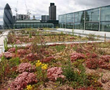 com/crdownloads Biodiversity Programme Biodiversity Action Plan for Soft Landscapes Biodiversity Action Plan for Urban Areas If you would like to