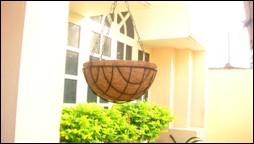 COCO HANGING BASKETS: COIR PRODUCTS These are ideal to decorate any