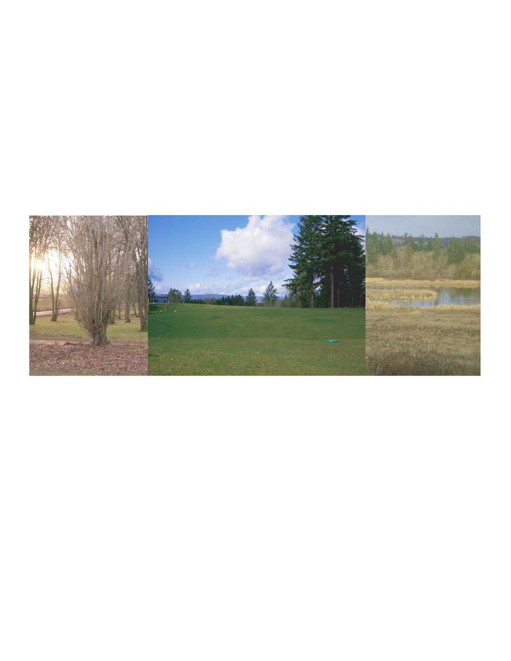Section 3 - Inventory Parks, Open Space, School Grounds, and Trails Inventory The West Bull Mountain Planning Area is bordered by existing residential neighborhoods to the northeast and east and by