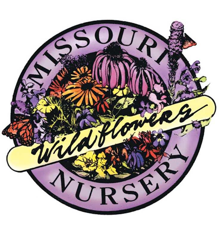 Welcome to Missouri Wildflowers Nursery! We sell native Missouri perennials, both seeds & plants.