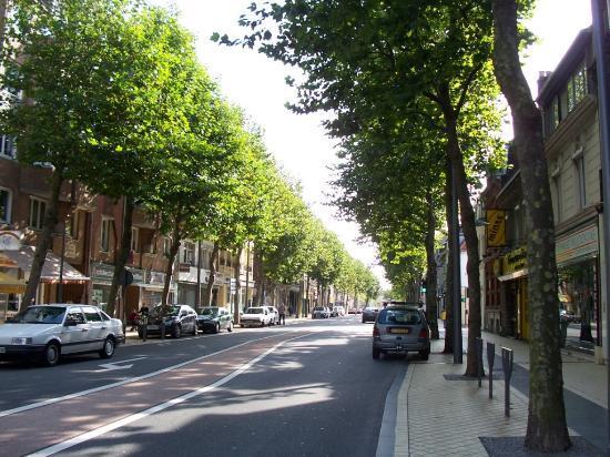 Street Trees Trees provide shade, lower cooling bills, reduce run-off, and help clean the air.