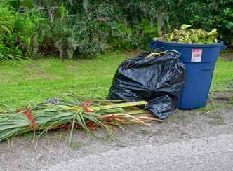 YARD WASTE COLLECTION Yard waste is vegetative matter resulting from the maintenance of your own property excluding land clearing.