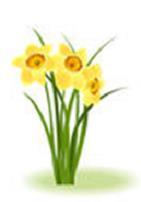 Richmond Council of Garden Clubs, Inc. Presents Fashions with Flowers XXI Daffodil Delights Friday, March 29, 2019 Inclement Weather Date Friday, April 26, 2019 10:00 a.m. First Baptist Church 2709 Monument Ave.