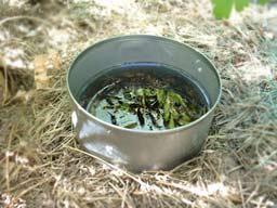 Trapping Using Oil Traps can easily be hidden near shrubbery and ground cover plantings, or against fences.
