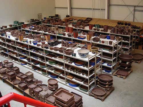 Selecting Bonsai Pots by Tom Friday The ancient art of bonsai takes normal sized trees and turns them into delicate miniatures.