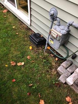 1. Rodents Rodents/Pests Rodent bait traps present at exterior perimeter,