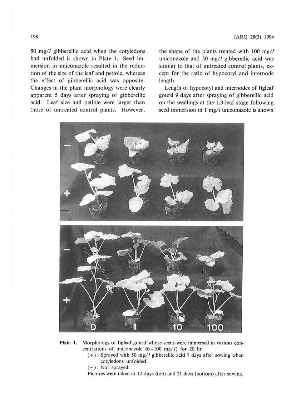198 50 mg// gibberellic acid when the cotyledons had unfolded is shown in Plate 1.
