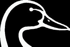 Ducks Unlimited Canada Restoration Services Finding Solutions for private and