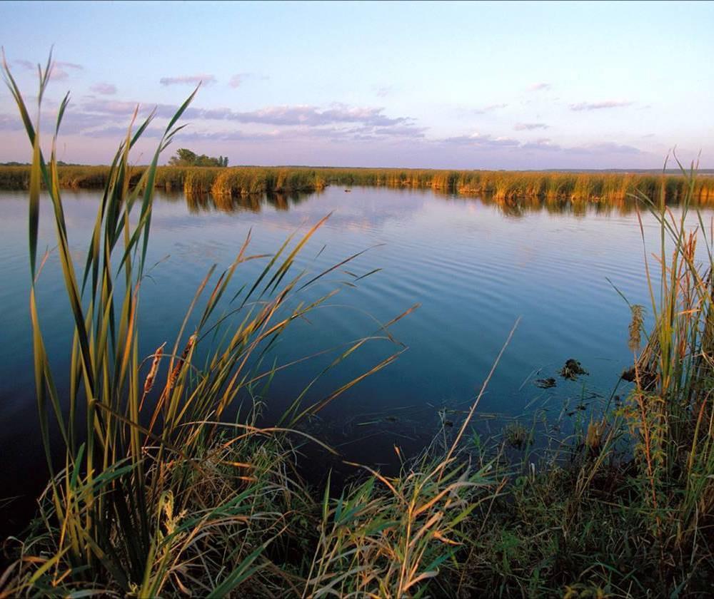 Leader in Wetland Conservation in Canada DUC is active in every province and territory 6.