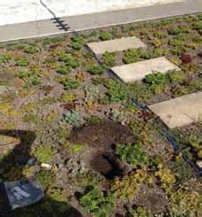 (Stuart Baur, Investigating and Analyzing the Energy Performance of an Experimental Green Roof System Installed on an Institutional Facility 2013) : The sensors placed at different levels in the