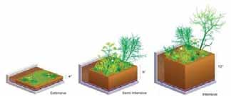 Green roof itself acts like an insulation, due to the soil layer and vegetation. Insulation boards in a green roof provide extra protection as they are placed under the water proofing member.