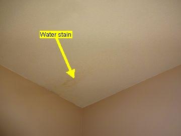 damage and possible mold and mildew growth. Water stains were observed on the ceiling in the main level hall bathroom, master bedroom, and living room.