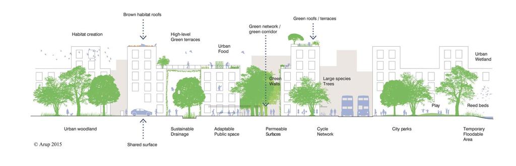 Definition of green+blue infrastructure Natural or semi-natural networks of green (soil covered or vegetated) and blue (water covered) spaces and corridors that maintain and enhance ecosystem