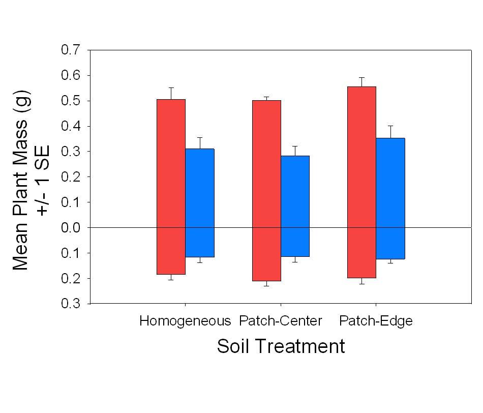 Figure S1 Plant biomass responses to soil and competition treatments.