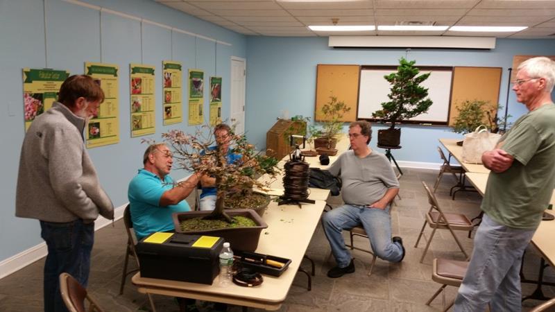 Last month s meeting: Guest artist David Easterbrook In October we once again hosted club favorite David Easterbrook, retired curator of bonsai at the Montreal Botanical Garden (see http://www.