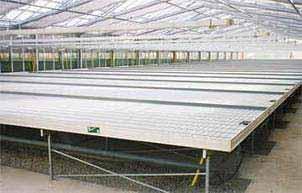 7.0 Ebb & Flow Plant Propagation Systems Ebb & Flow table systems are the most