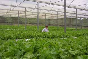 1.0 Introduction Since 1978, Bluelab Assist (formerly NZ Hydroponics International) has provided service, systems and supplies to commercial growers in New Zealand, the Pacific Islands, USA and