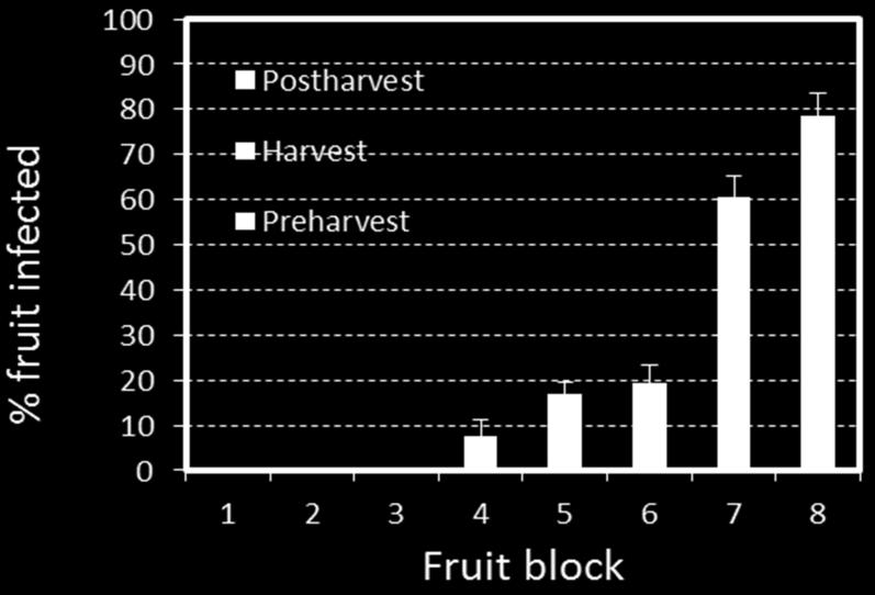 In blocks with a history of brown rot 120 fruit per ha can provide a good estimate of the incidence of latent infection.