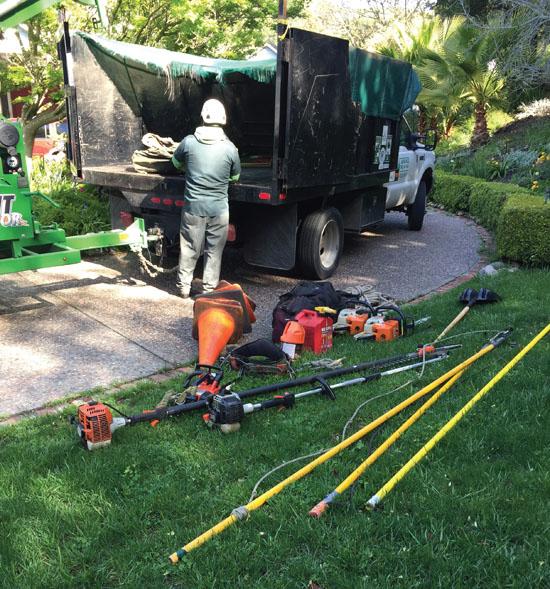 Equipment for tree cutting.