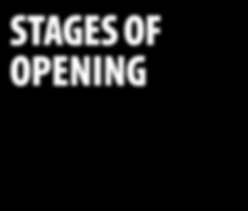 STAGES OF OPENING The stages shown apply to the product at market entry.