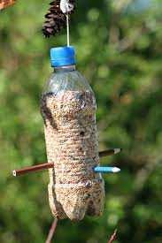 Slide 95 / 150 Observing Birds Throughout the Year Make two holes at the top of the bottle, on opposite sides. Thread string through the holes so the bottle can be hung from tree branch.
