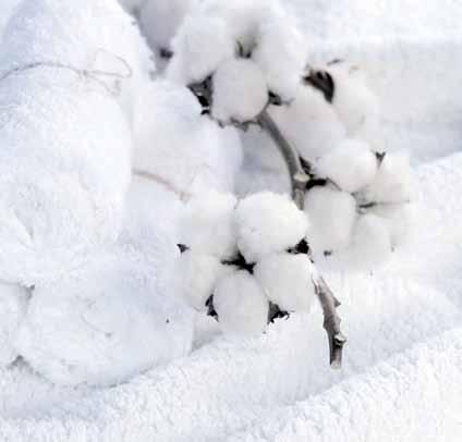WHITES CYCLE We take care of your white fabrics by washing them fully to avoid yellowing. For white and brightly coloured fabrics you can rely on Aqualtis technology.
