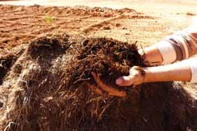 Compost and/or manure: In order to get nitrogen and other necessary nutrients into the soil without using chemical fertilizers, it is possible to create a composter, which turns plant waste into