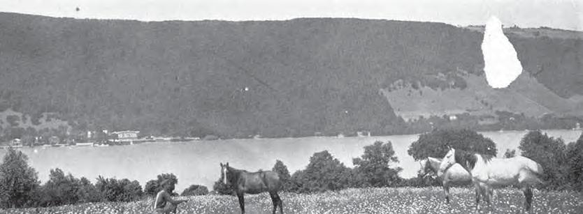 View west across Skaneateles Lake showing clear-cutting of trees that occurred at around the turn of the twentieth century on the steep southeast slopes of Niles, date unknown (source:
