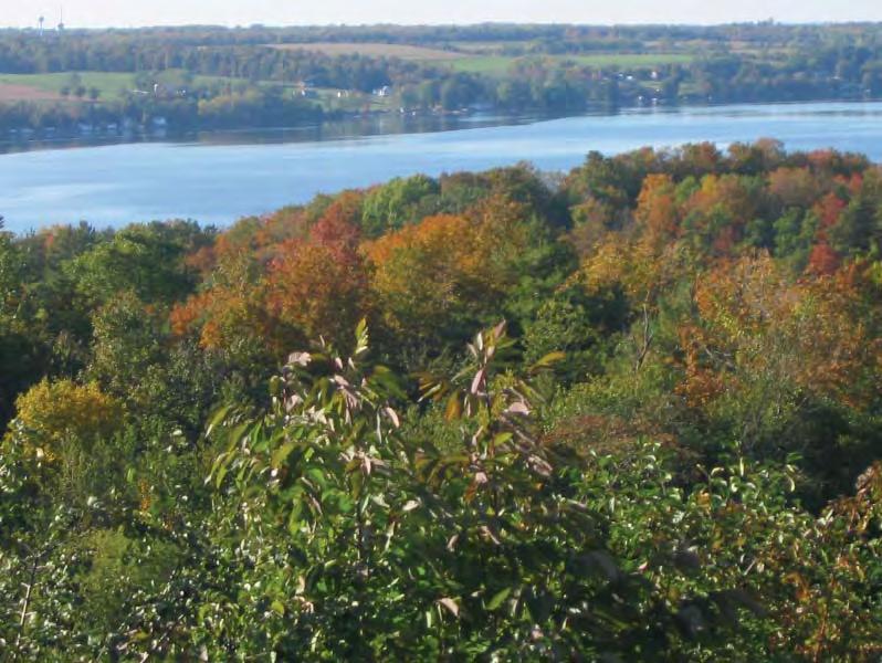 Looking west across Owasco Lake from Rockefeller Road in Niles, October 2008 Appendix A Background, Historic Information & Demographics Location The Town of Niles is located in Cayuga County in the