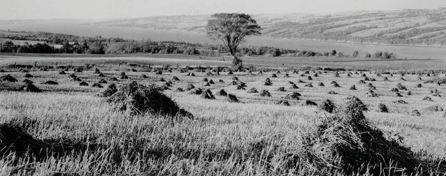 View of Niles farmland, date unknown (source: Historic Photos and Maps of New York State, http://freepages.genealogy.rootsweb. ancestry.com/~springport/pictures.html).