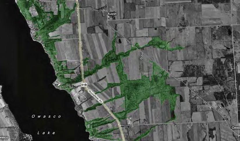 USGS Satellite image highlighted to show at risk forested areas within the Owasco Lake Watershed in the Town of Niles.