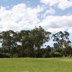Further long-term planning continues for new parks on Kororoit Creek at Caroline Springs, for a second regional park north of Wyndham and for a regional park at Cranbourne East.