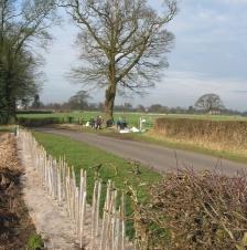 In Cheshire, management plans and reports were prepared for a number of farms, leading to applications for agri-environment schemes to fund habitat creation and management.
