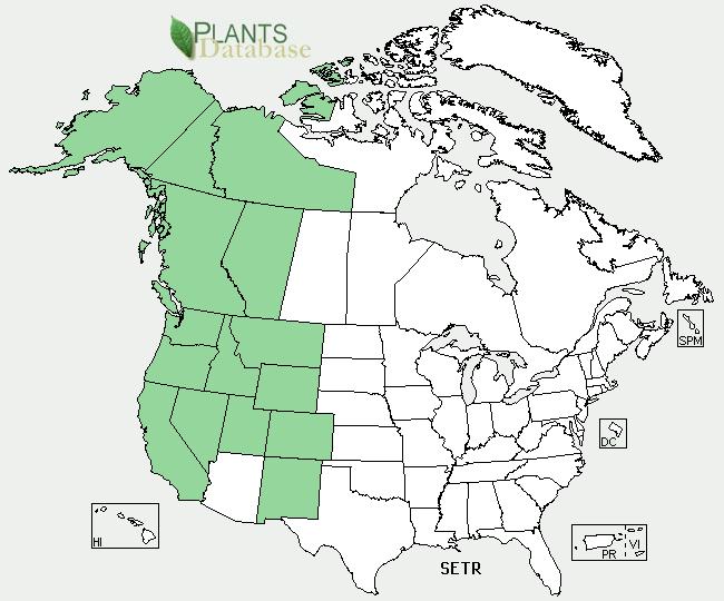 Geographical range (distribution maps for North America and Washington state) GENERAL INFORMATION Ecological distribution (ecosystems it occurs in, etc): Climate and elevation range Local habitat and