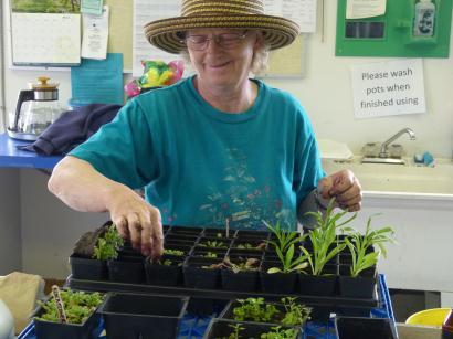 The seeders put on a fundraising plant sale for the greenhouse, which was