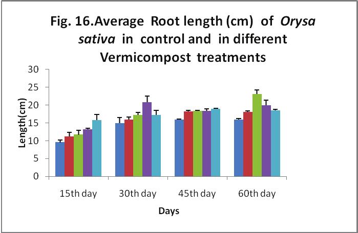 7.3. RESULTS Effect of different Compost on the growth and yield of Orysa Sativa 7.3.1. ROOT LENGTH (cm) Figure 16 shows the length of the root increased gradually during the growth of the paddy.