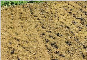 down To aerate the soil To break up hard spots encourage root growth Seedbeds - Flatbeds Several types of seedbeds can be used for