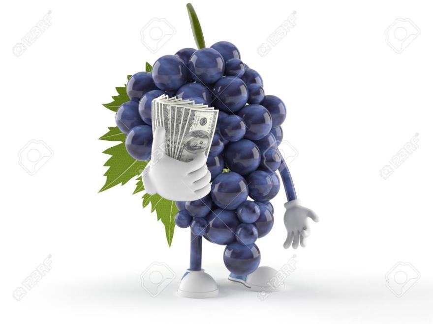 Vineyard Management Basics