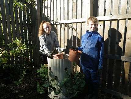 The eco team moved the plants from our strawberry patch into our recycled strawberry tower as they were not getting enough