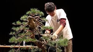 00 per participant, attendance limited, contact Diego Pablos at neyamadoribonsai@gmail.com if interested.